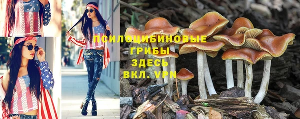 шишки Галич
