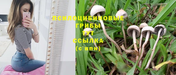 прущий лед Абдулино