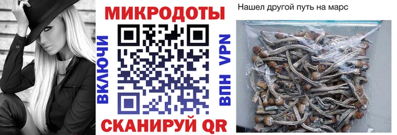 где найти наркотики Каменногорск Псилоцибиновые грибы мухоморы