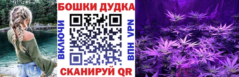 Конопля план мега как зайти Каменногорск